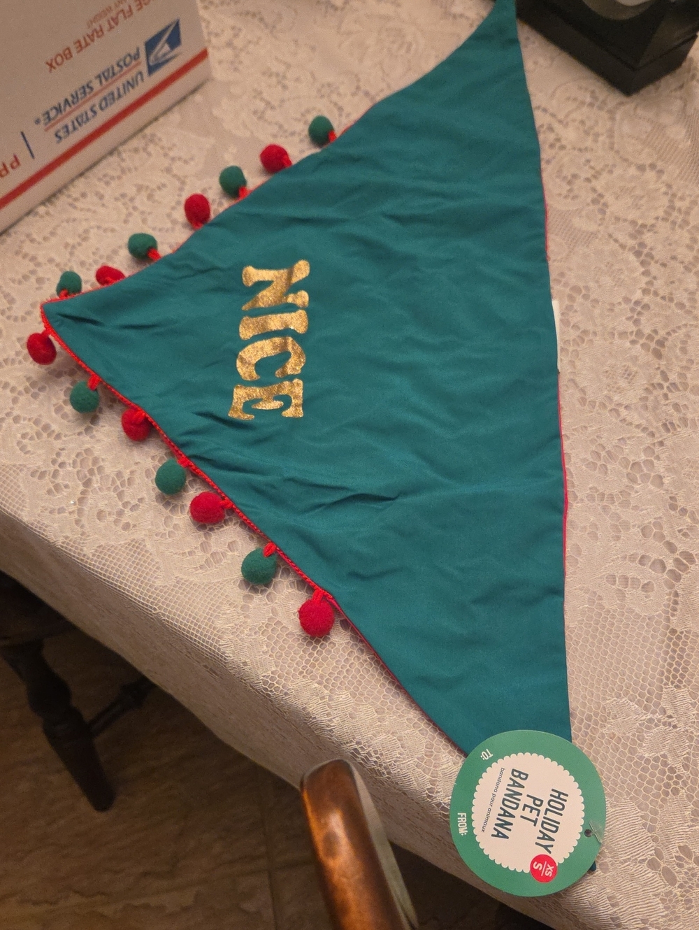 Pet Bandana - Teal with Gold 'NICE' Text